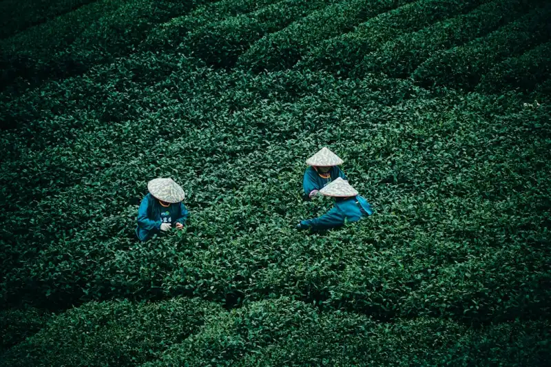 广告文案撰写与短视频剧本策划：谱盟之家的专业服务流程